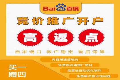 SEM投放策略优化案例分析
